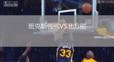 班克斯顿熊VS北方熊
