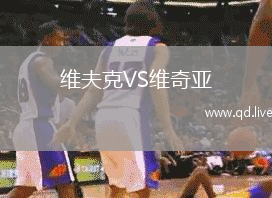 维夫克VS维奇亚