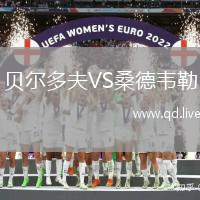 贝尔多夫VS桑德韦勒
