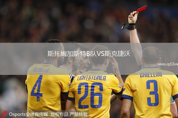 斯托姆加斯特B队VS斯克捷沃